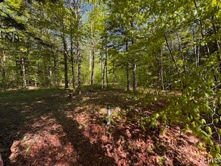 64 Beaver Creek Road, Redfield, New York image 12