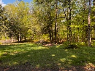 64 Beaver Creek Road, Redfield, New York image 11