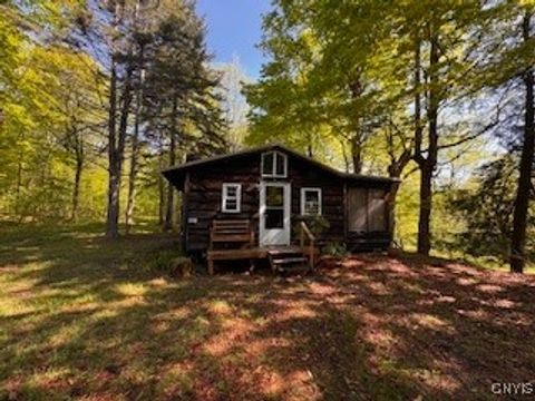 Vacant Land For Sale - 64 Beaver Creek Road<br/> Oswego County, Redfield, NY 13437