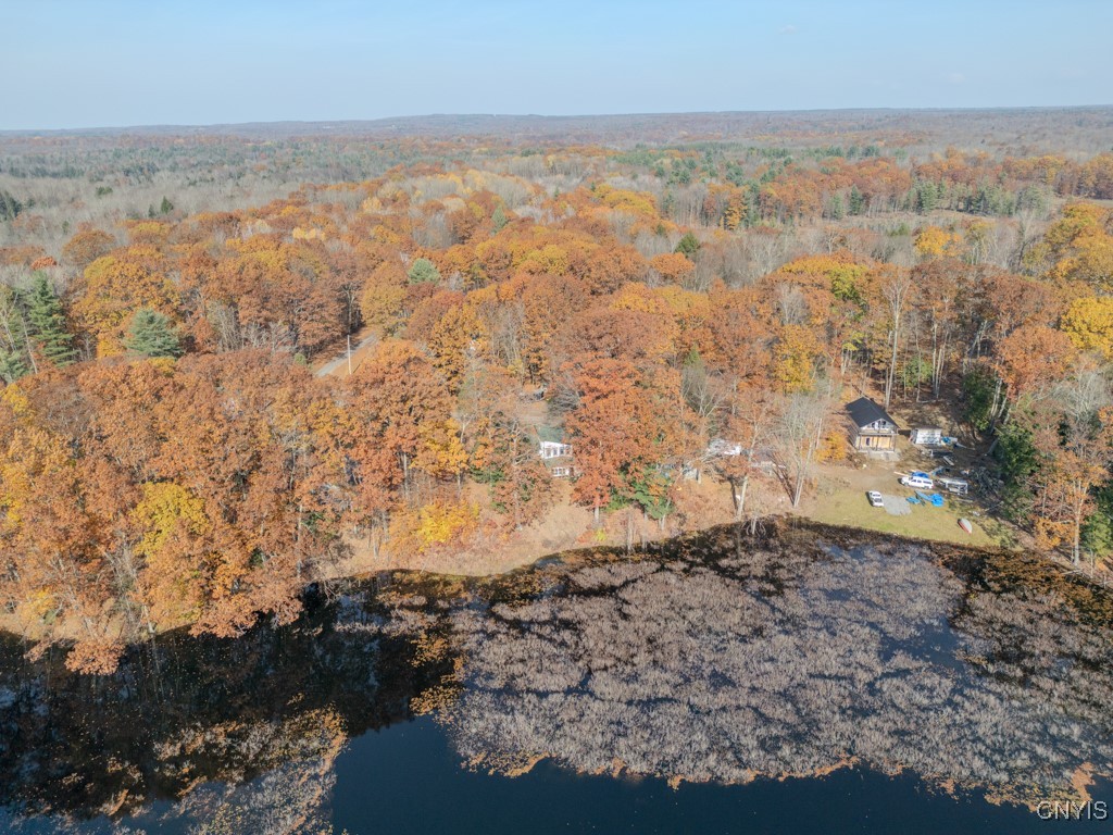 352 Sloperville Road, Albion, New York image 46