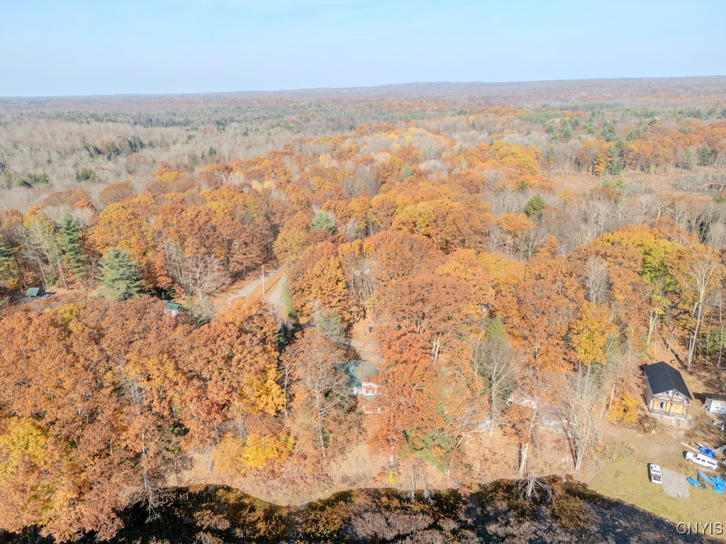 352 Sloperville Road, Albion, New York image 43