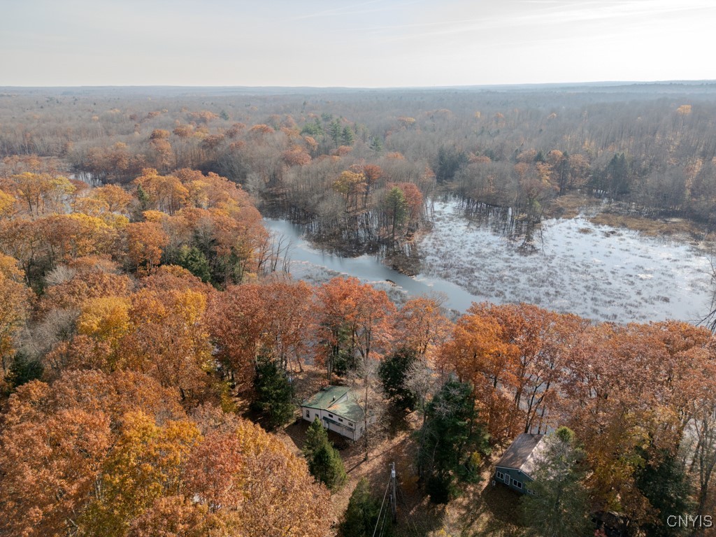352 Sloperville Road, Albion, New York image 42