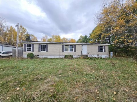 Homes For Sale - 163-165 Wheeler Road<br/> Williamstown, NY 13302