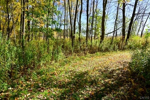 River Road