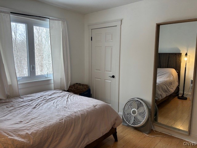 7505 Northfield Lane, Manlius, New York image 22