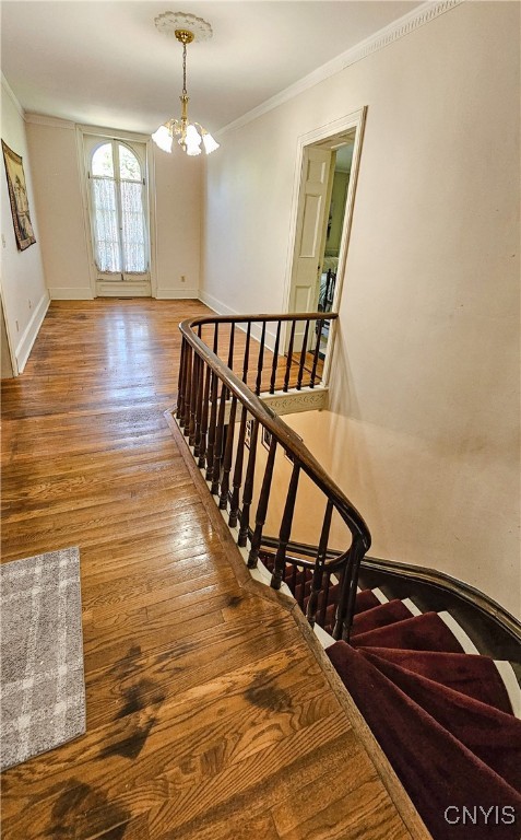 24 Grover Street, Auburn, New York image 21