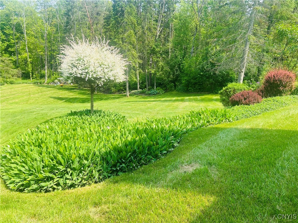 7672 Pinebluff Circle, Manlius, New York image 49