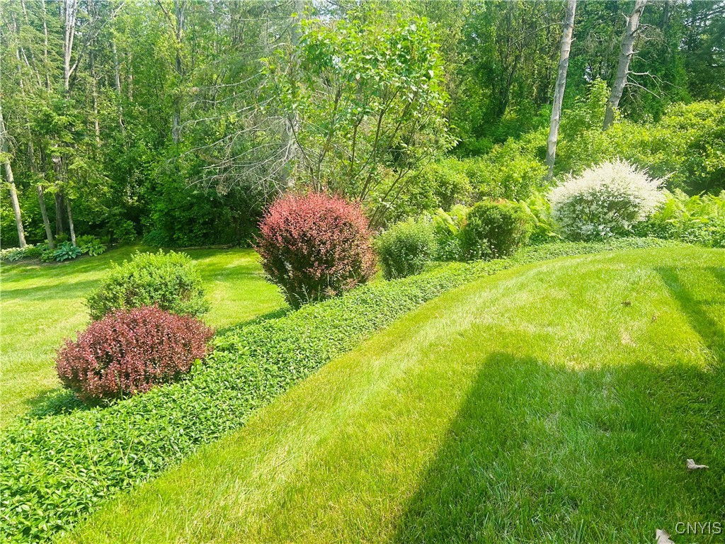 7672 Pinebluff Circle, Manlius, New York image 42