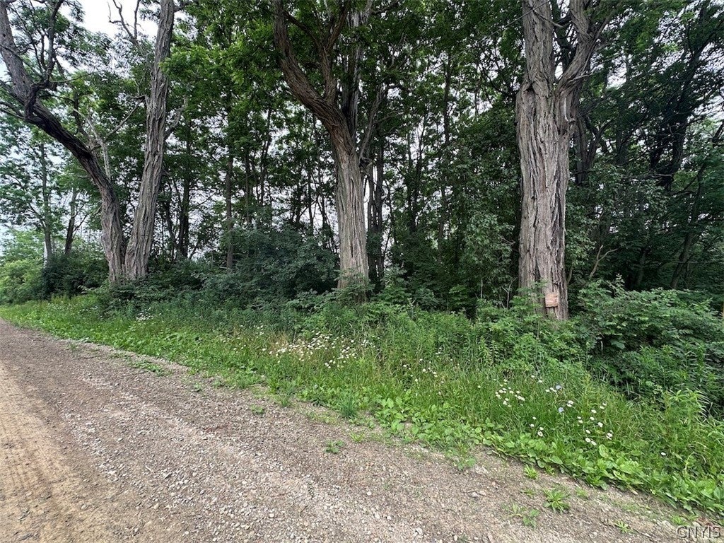 Photo of Flat Iron Road, Granger, NY 14846 (MLS # S1697406)