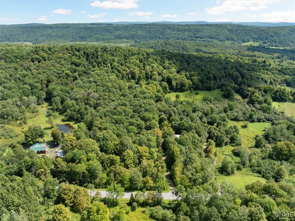 2236 Gorton Lake Road Rd, Brookfield, New York image 12