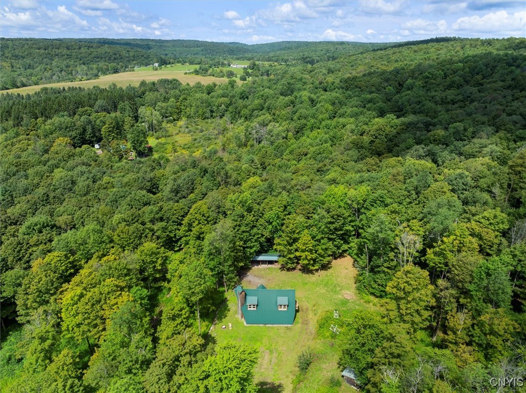 2236 Gorton Lake Road Rd, Brookfield, New York image 7