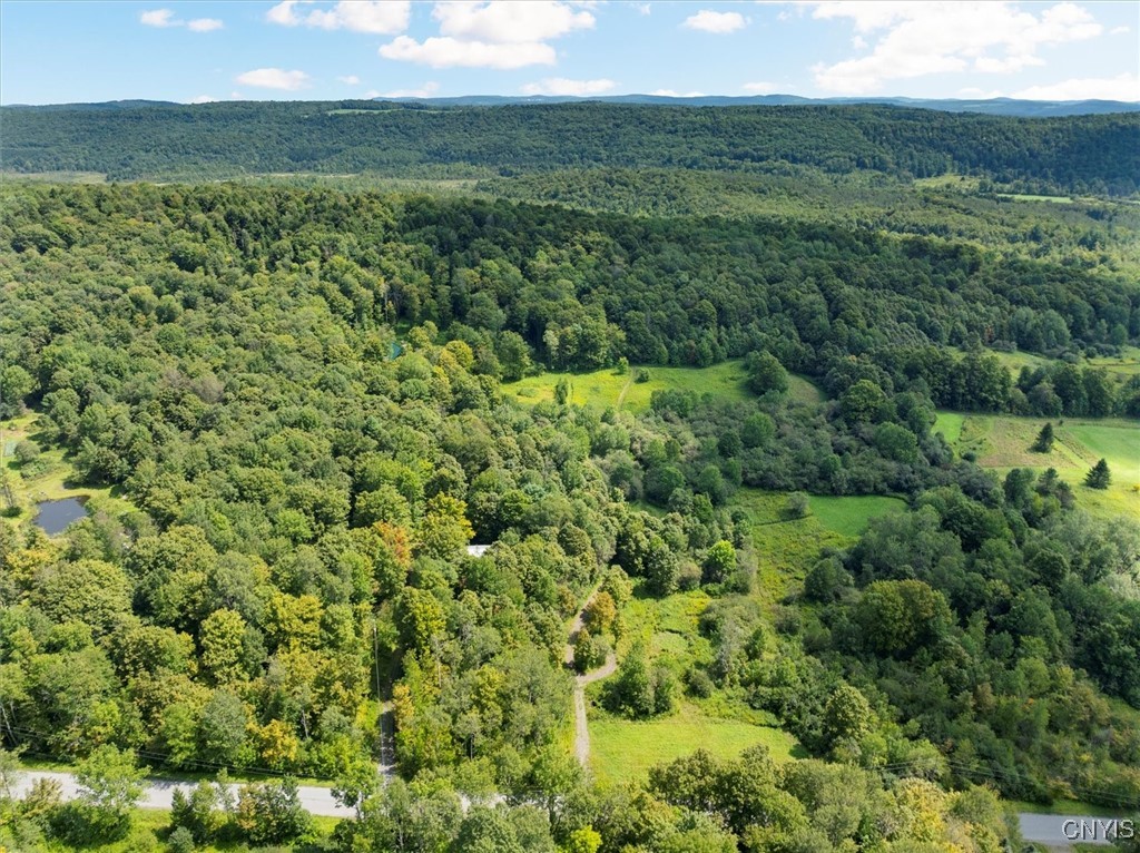 2236 Gorton Lake Road Rd, Brookfield, New York image 10