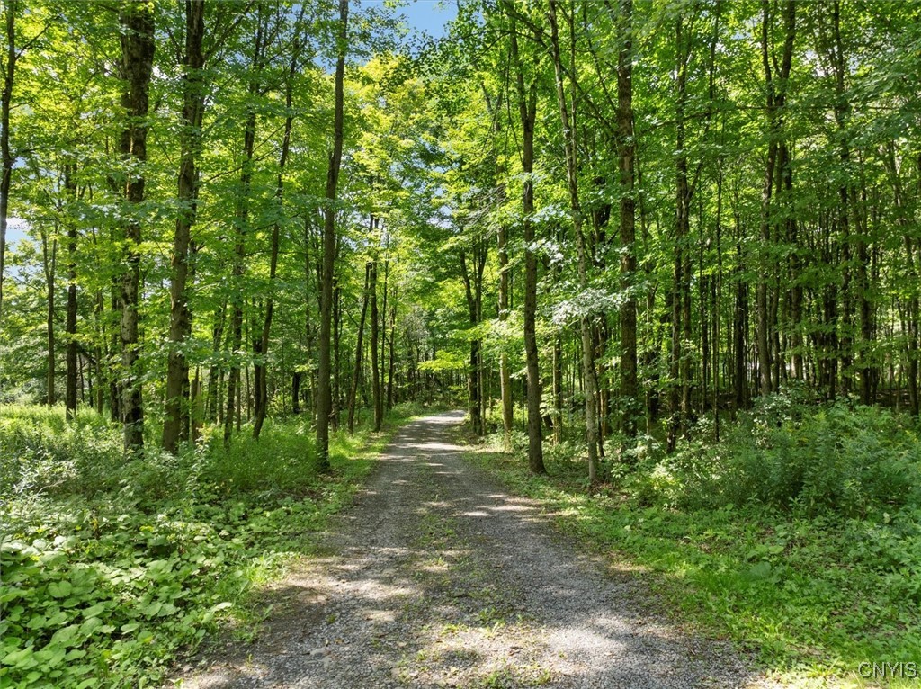 2236 Gorton Lake Road Rd, Brookfield, New York image 18