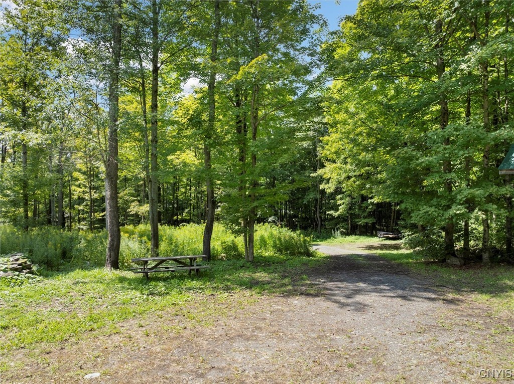 2236 Gorton Lake Road Rd, Brookfield, New York image 6