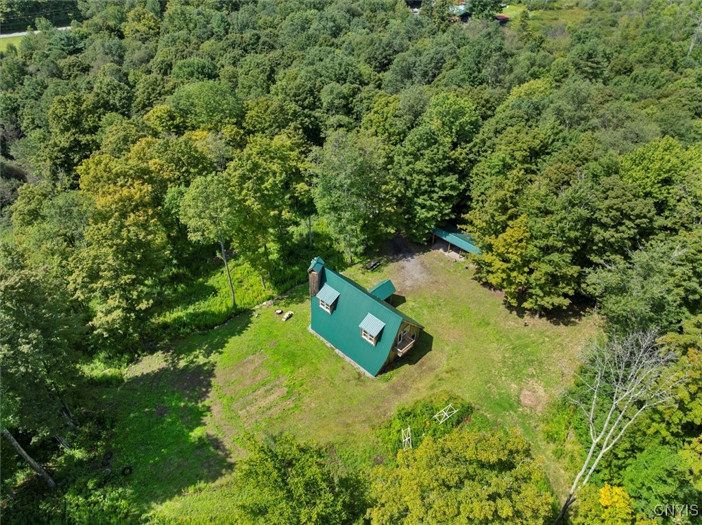 2236 Gorton Lake Road Rd, Brookfield, New York image 11