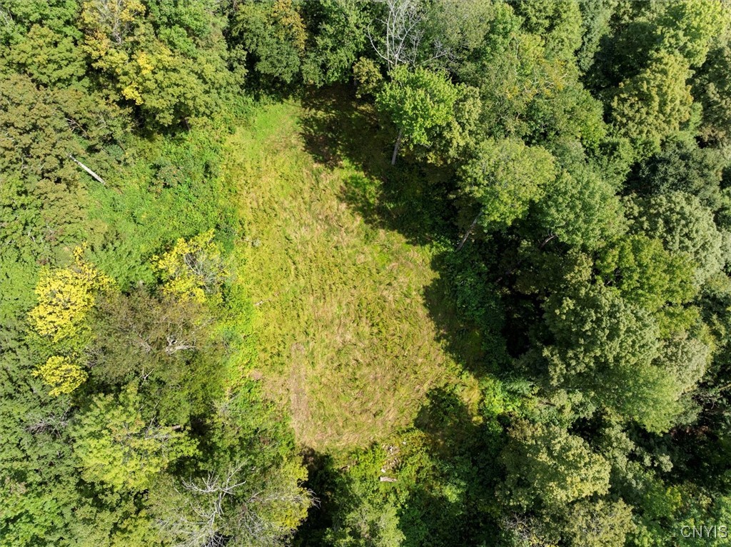 2236 Gorton Lake Road Rd, Brookfield, New York image 9
