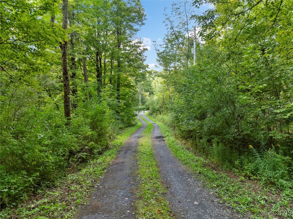 2236 Gorton Lake Road