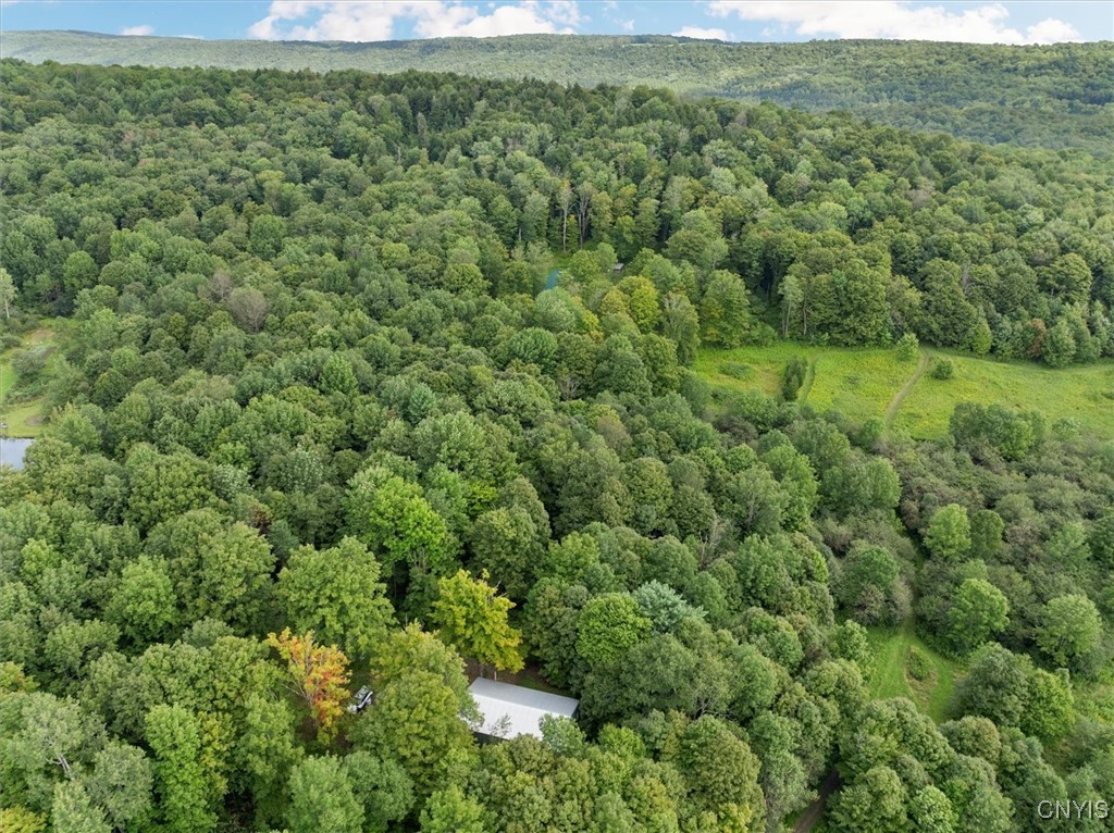 2236 Gorton Lake Road Rd, Brookfield, New York image 15