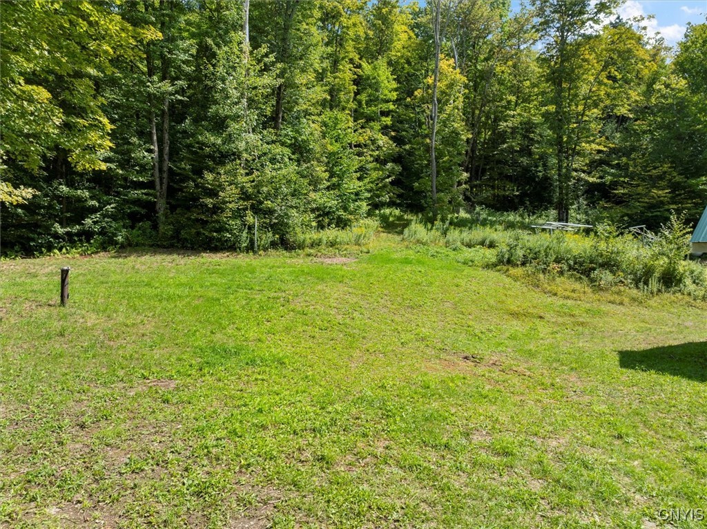 2236 Gorton Lake Road Rd, Brookfield, New York image 14