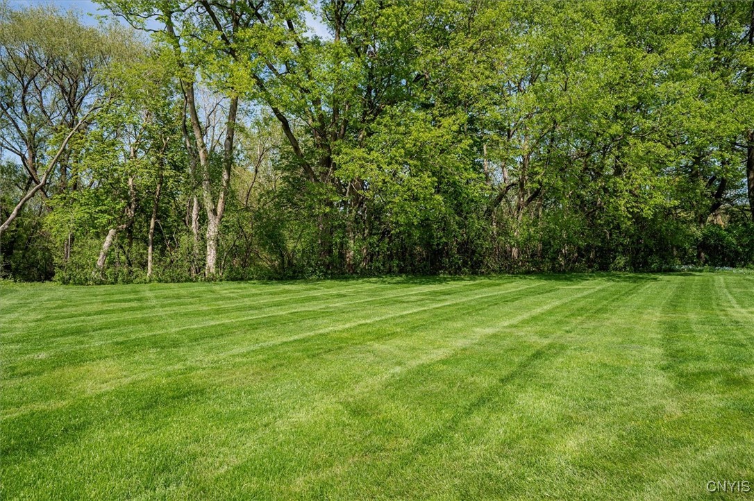 11 Harrogate Road, New Hartford, New York image 49