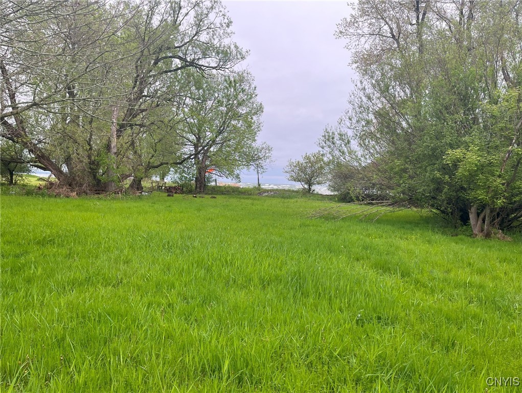 Henderson, New York 13650, United States, ,Land,Active,204233