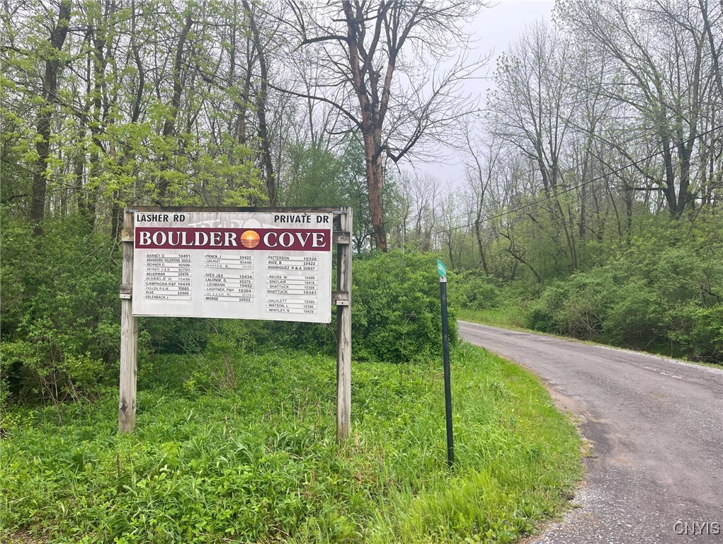 Henderson, New York 13650, United States, ,Land,Active,204233