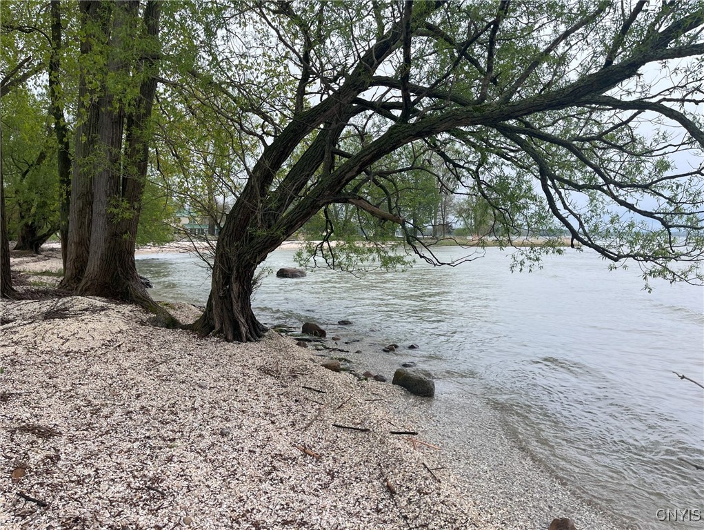 Henderson, New York 13650, United States, ,Land,Active,204233