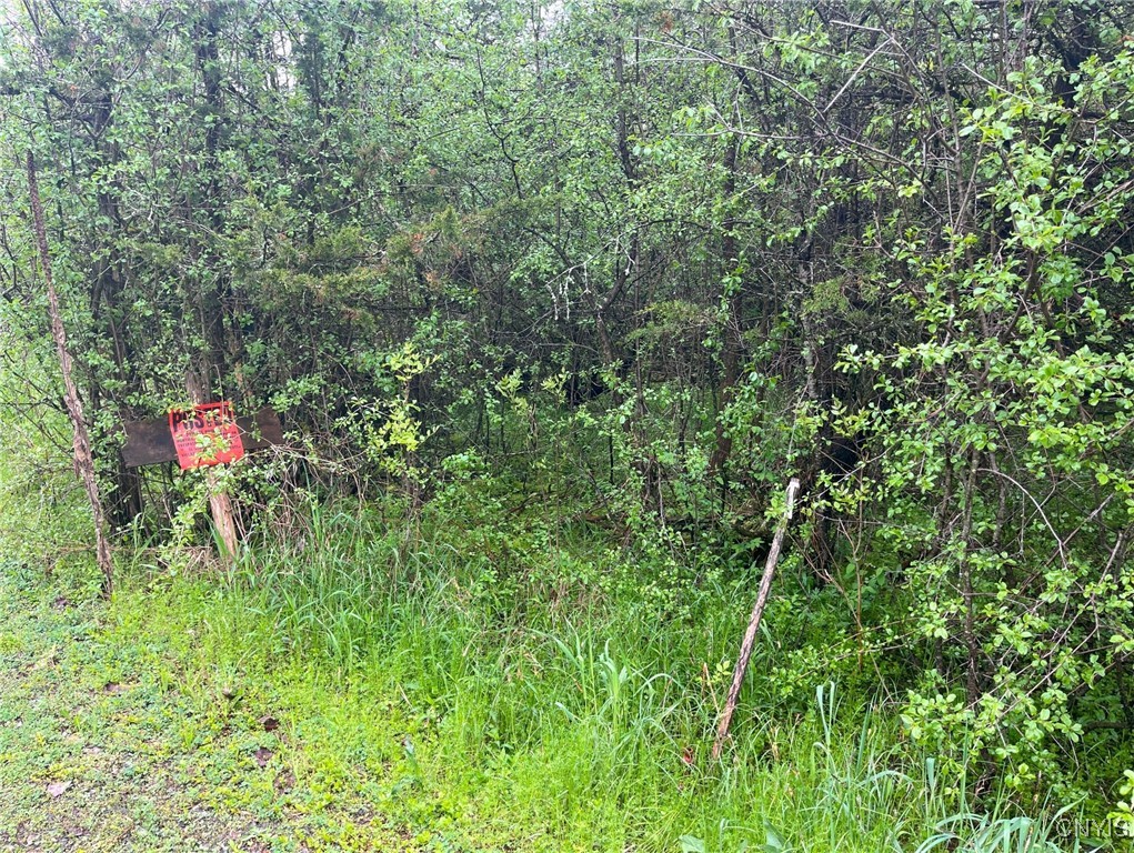 Henderson, New York 13650, United States, ,Land,Active,204233