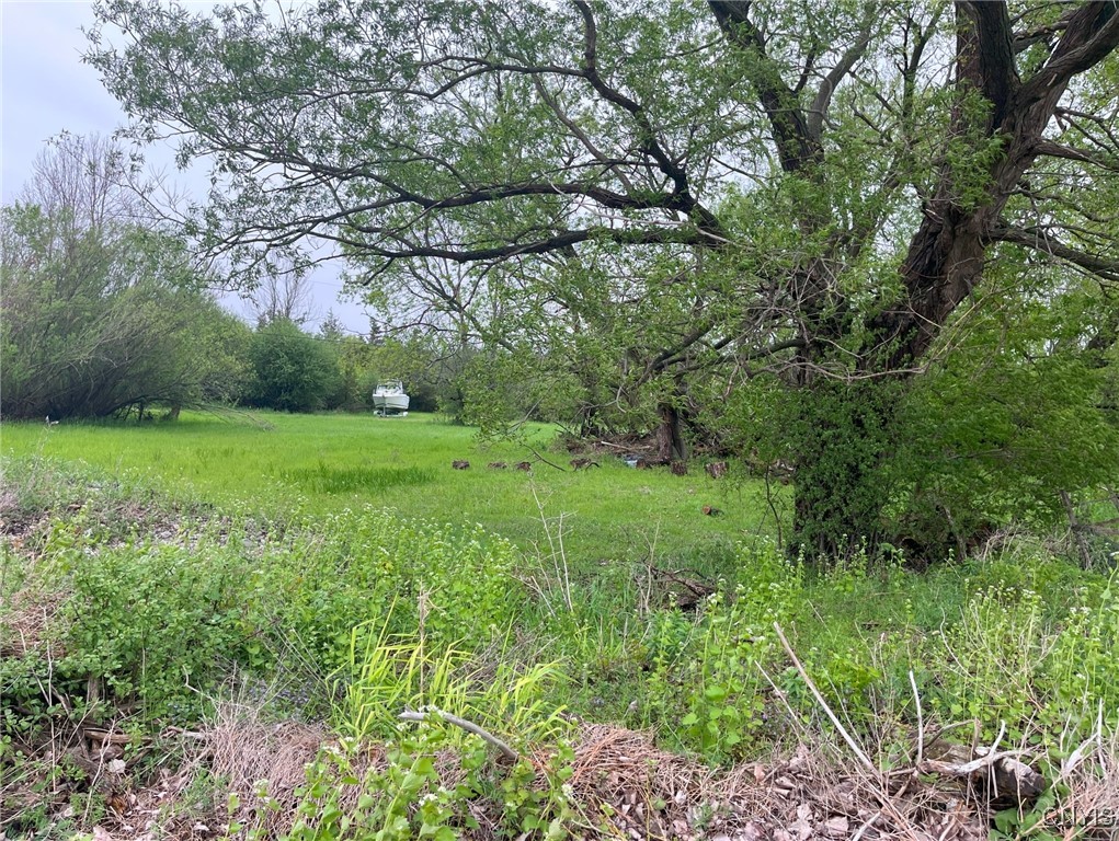 Henderson, New York 13650, United States, ,Land,Active,204233