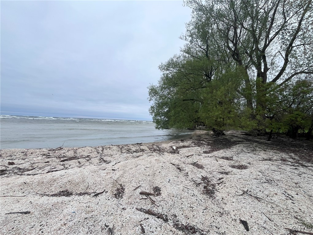 Henderson, New York 13650, United States, ,Land,Active,204233