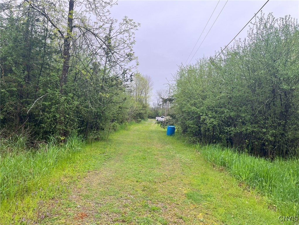 Henderson, New York 13650, United States, ,Land,Active,204233