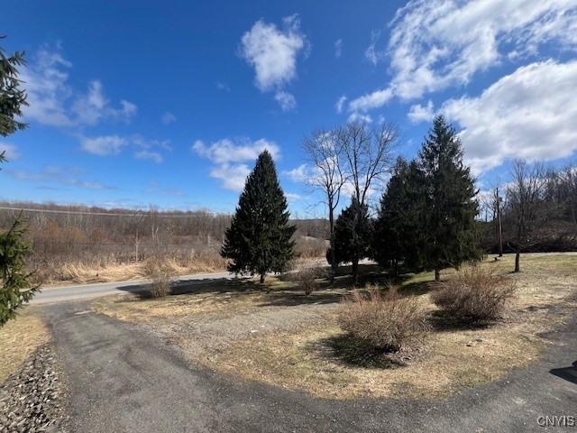 171 Dennis Road, New Haven, New York image 11