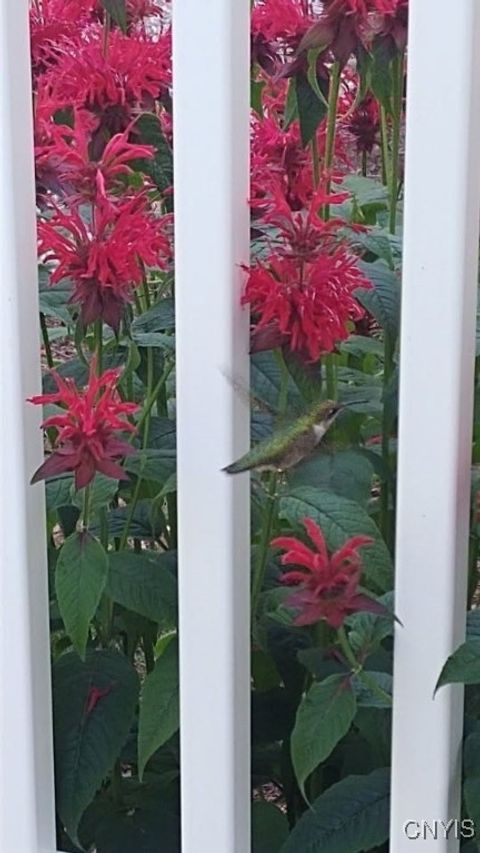 Tiny photo for 610 E Lake Street, Cape Vincent, NY 13618 (MLS # S1655422)