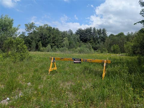 Photo of Tannery Road, Rome, NY 13440 (MLS # S1690225)