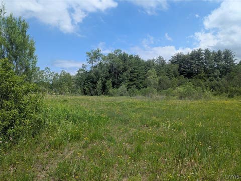 Tiny photo for Tannery Road, Rome, NY 13440 (MLS # S1690225)