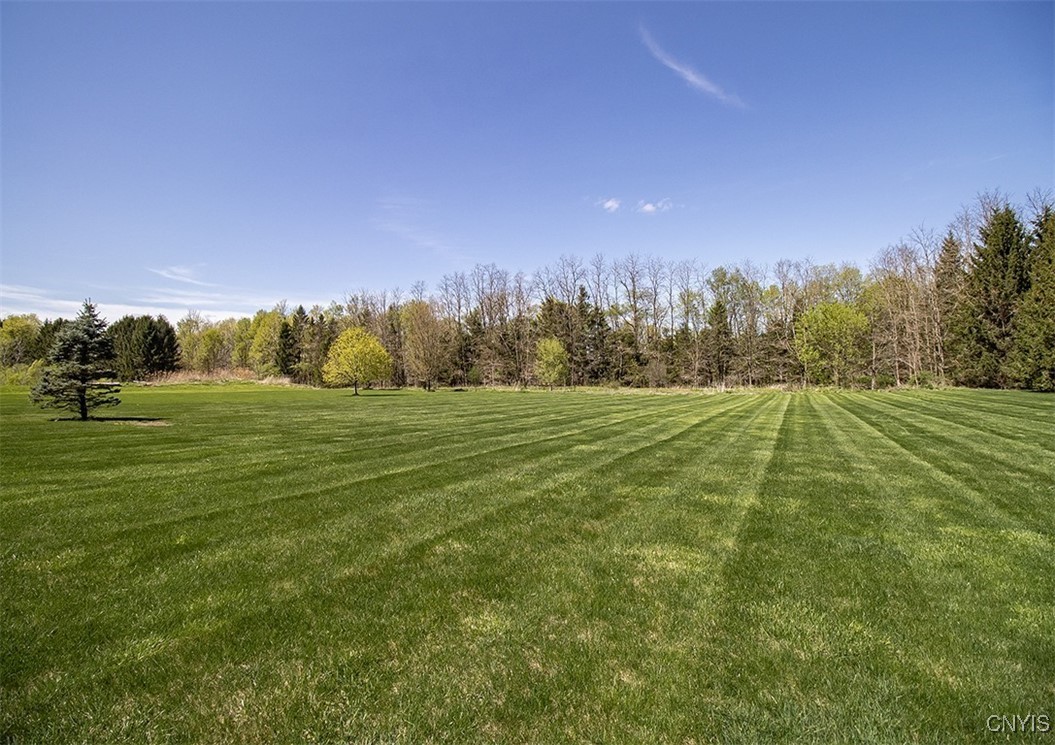 100 Brandywine Drive, Manlius, New York image 7