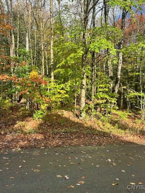 Silverstone Road Remsen NY 13438