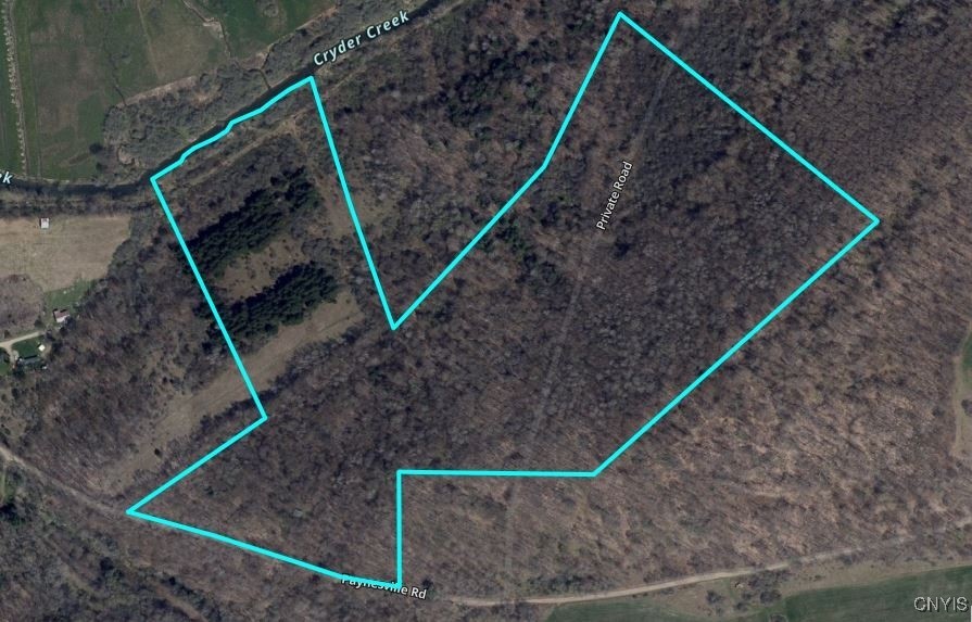 Paynesville Hill Road