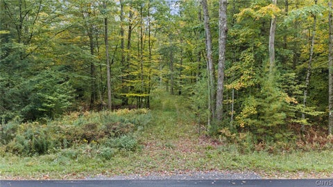 Vacant Land For Sale - 1965 California Lot 7&8 Road<br/> Vienna, NY 13316