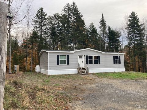 10240 Riggerman Road, Remsen, NY 13438 - #: S1646590