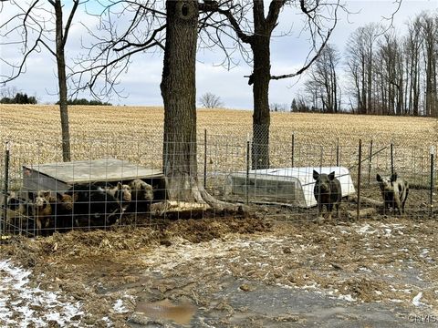 Tiny photo for 4256 Twelve Corners Road, Niles, NY 13118 (MLS # S1655620)