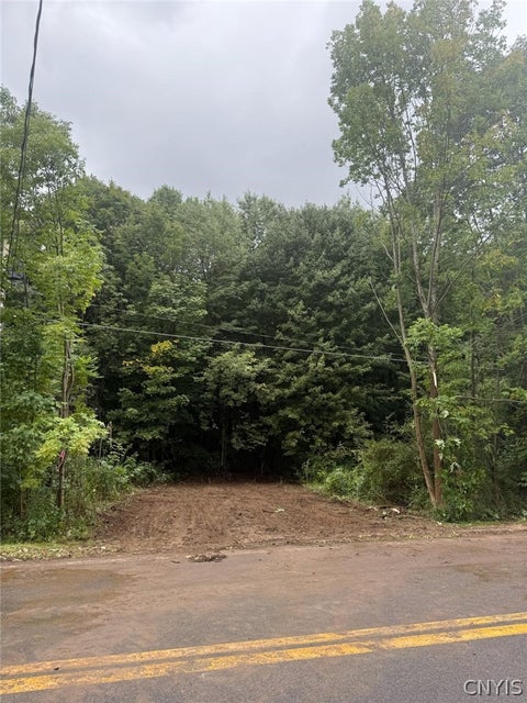 Vacant Land For Sale - LOT 4 Rt 58<br/> Oswego County, Mexico, NY 13114