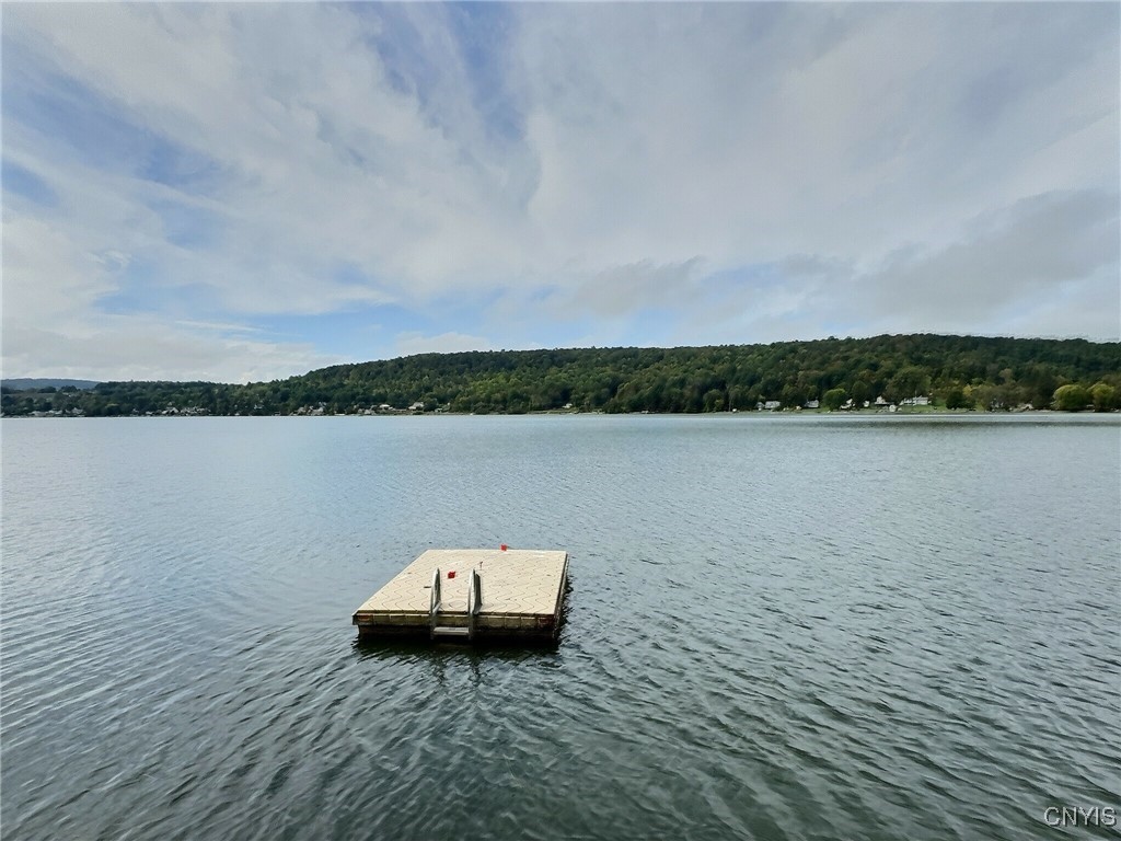 Otisco, New York 13110, United States, 3 Bedrooms Bedrooms, ,3 BathroomsBathrooms,Residential,Active,194096