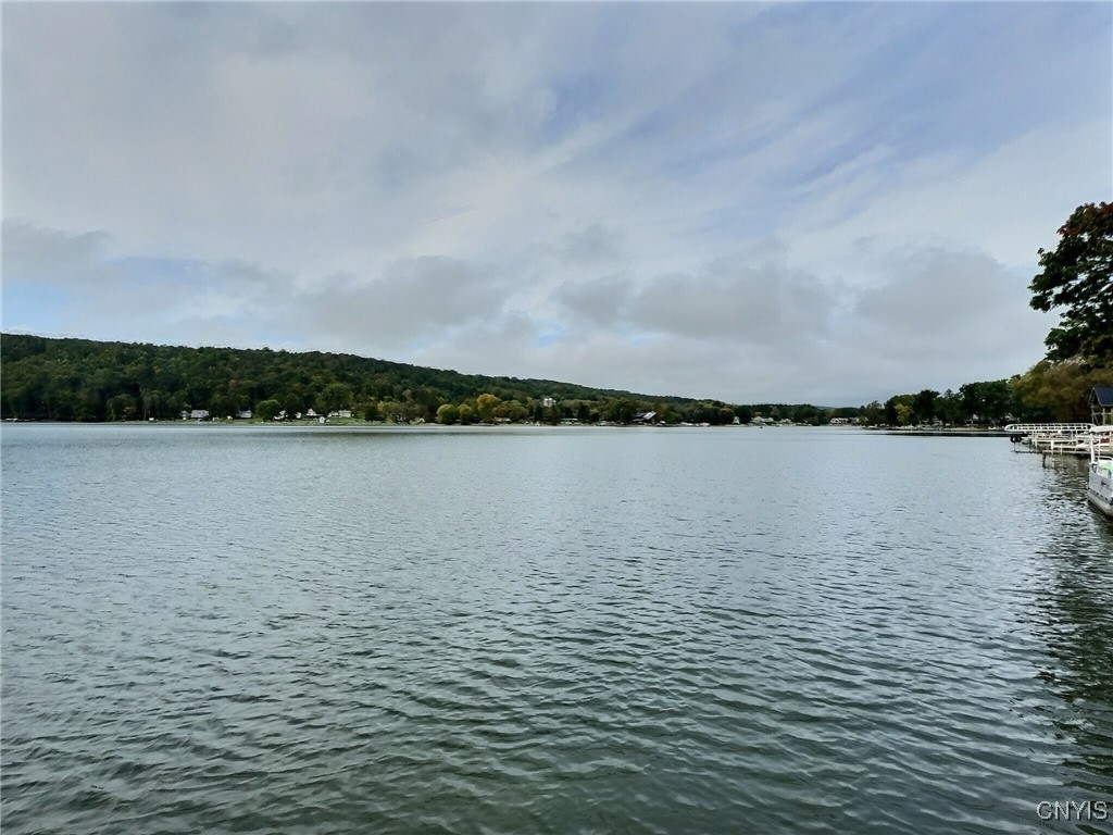 Otisco, New York 13110, United States, 3 Bedrooms Bedrooms, ,3 BathroomsBathrooms,Residential,Active,194096