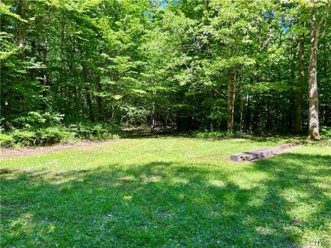 Tiny photo for 30 Rick Lane, Boylston, NY 13083 (MLS # S1693074)