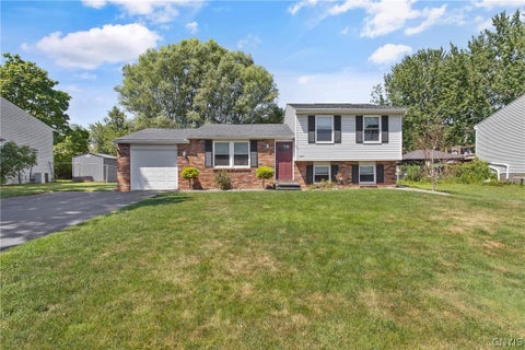 Photo for 8307 Spicebush
