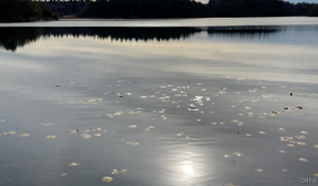 32148 Webster Tract Rd #156, Theresa, New York image 6