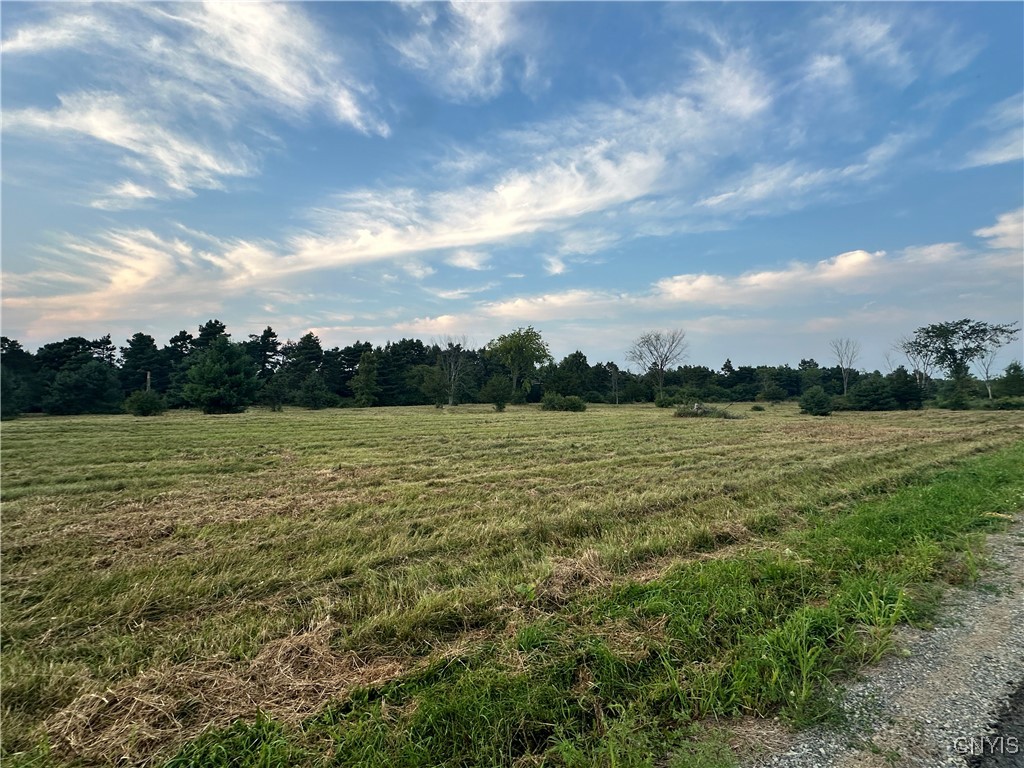 Lot #8 Rt-12, Clayton, New York image 12