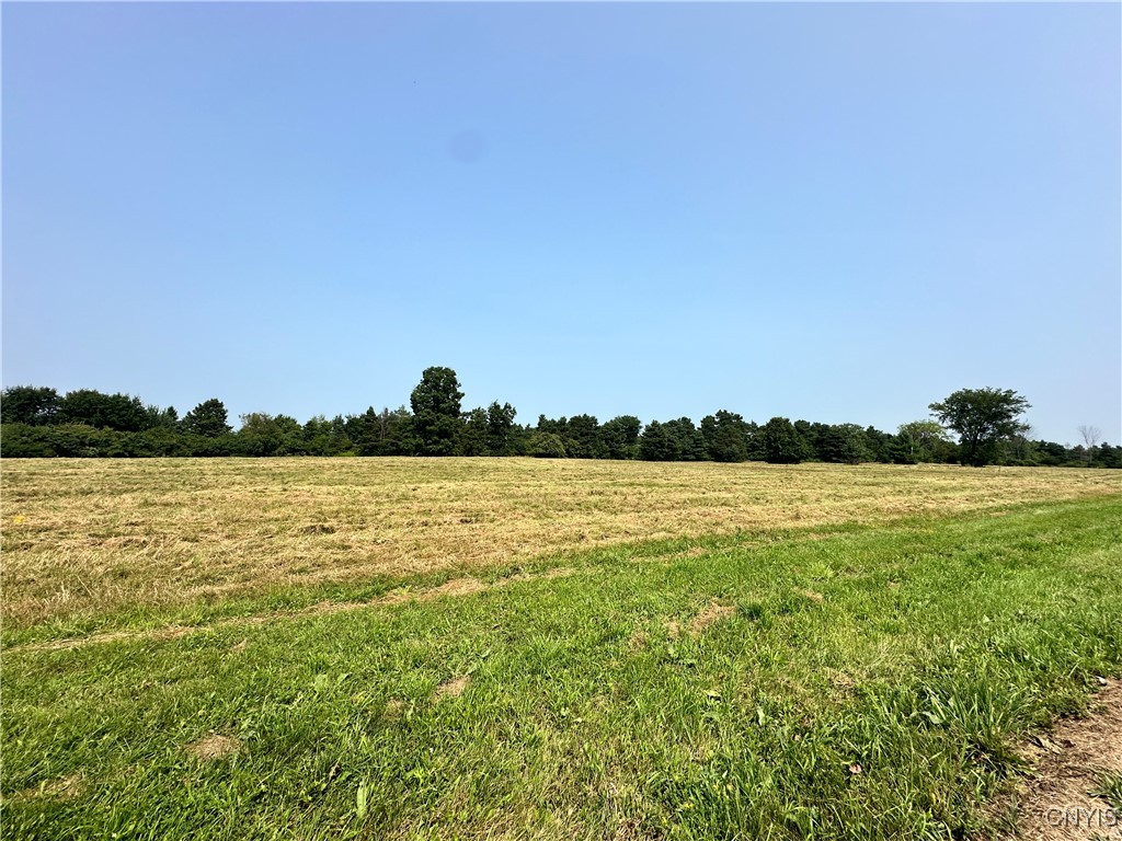 Lot #8 Rt-12, Clayton, New York image 9