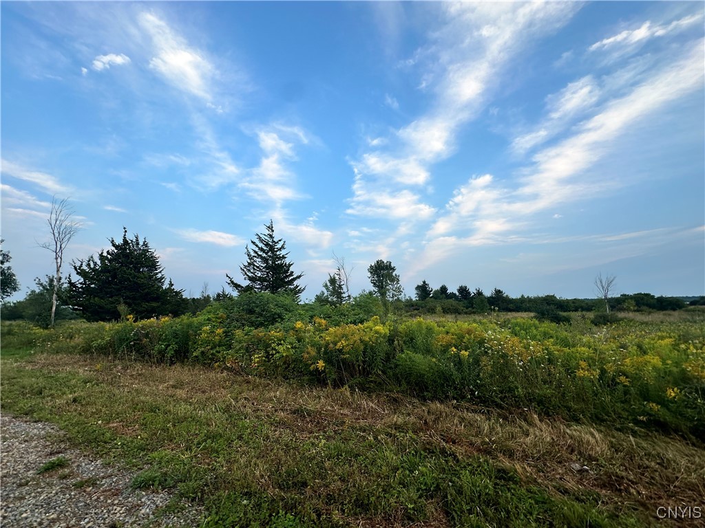 Lot #8 Rt-12, Clayton, New York image 21